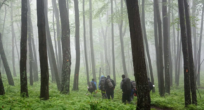 A group of backpackers hike through a wooded area with some fog. 